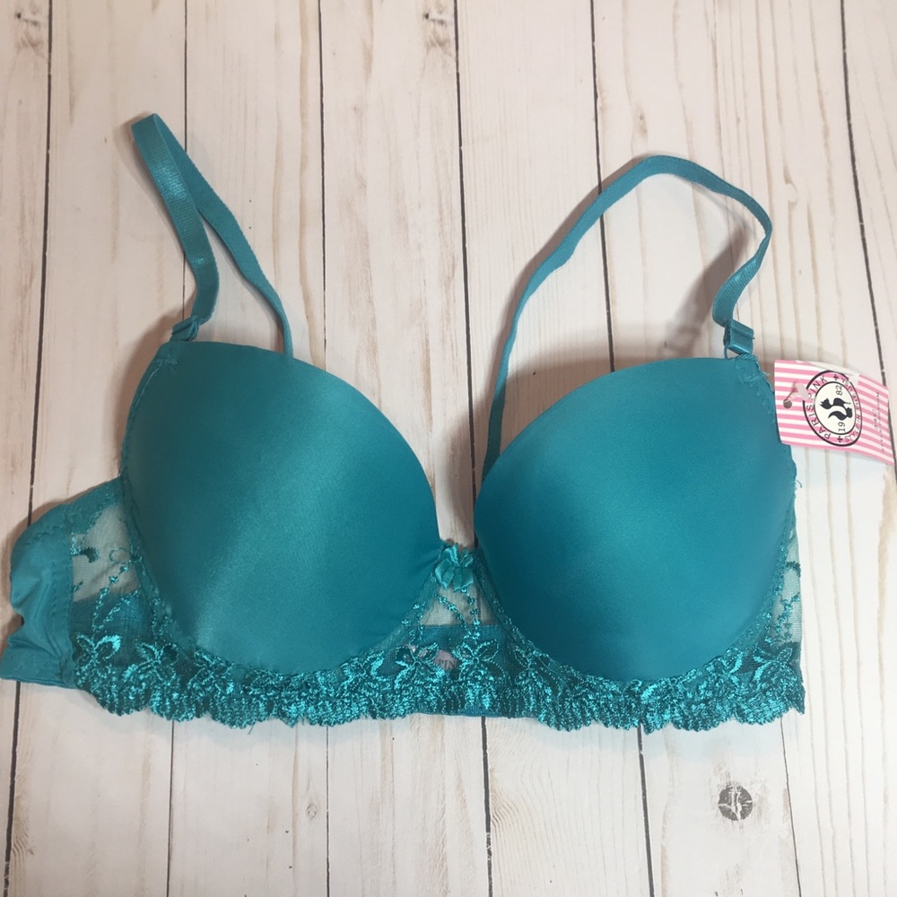 NWT Paris Pink Blue Push Up Plunge Bra 34C